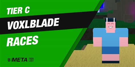 best race in voxlblade|Race